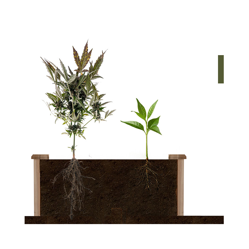 3.9ft x 3.9ft verhoogde tuinbeddoos met gesegmenteerd groeiend rooster, houtmateriaal voor achtertuinplanten en kruiden