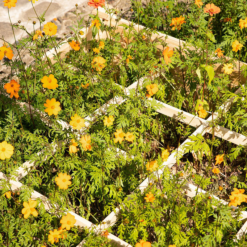 3.9ft x 3.9ft verhoogde tuinbeddoos met gesegmenteerd groeiend rooster, houtmateriaal voor achtertuinplanten en kruiden